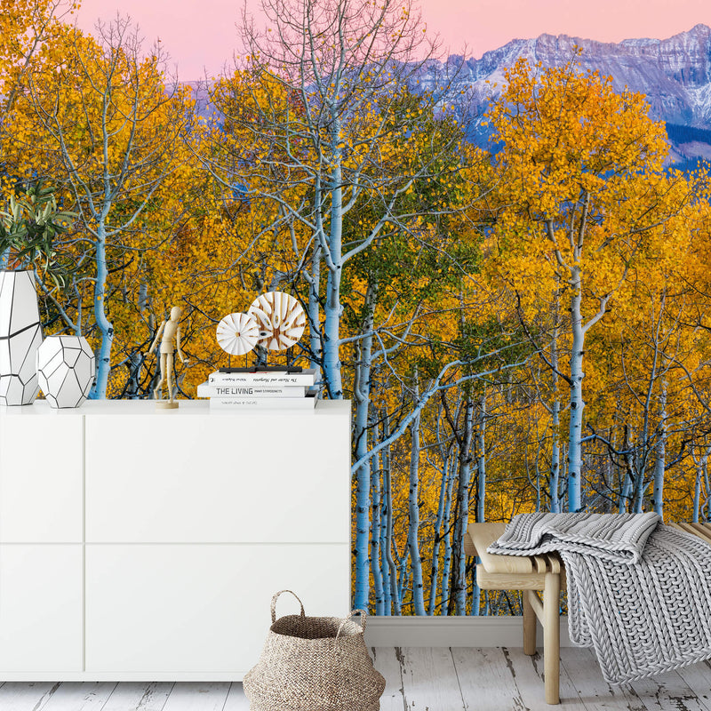 Birches and Mountains - Wall Mural 5066