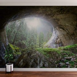 Cave In The Forest - Wall Mural 5078