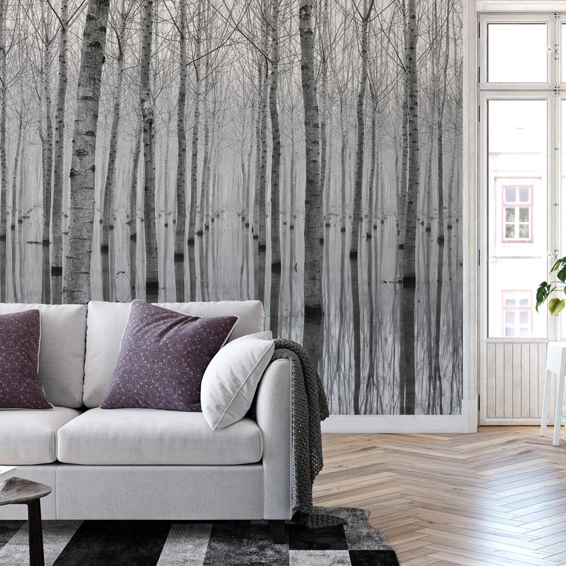 Birch Forest In The Water - Wall Mural & Sofa