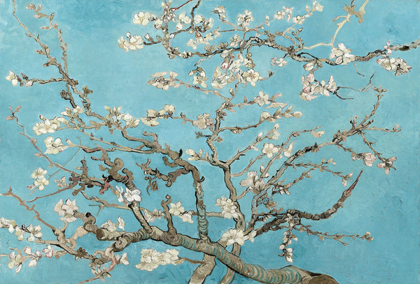 Van Gogh Almond Blossom - Wall Mural 5454