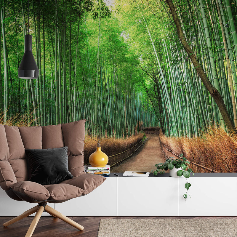 Bamboo Grove Kyoto Wall Mural With Chair