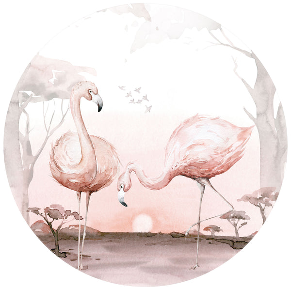 Flamingos at Sunset - Wall Mural 5557