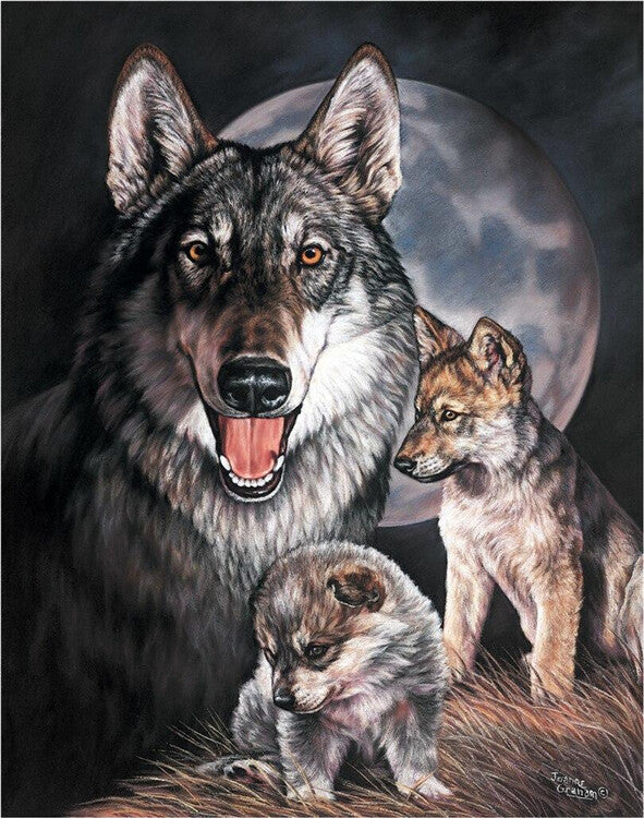 Metal sign GRAHAM - Wolf Experience, (31.5 x 40 cm)