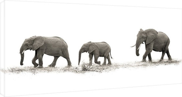 Canvas Print Mario Moreno - The Elehants, (100 x 50 cm)