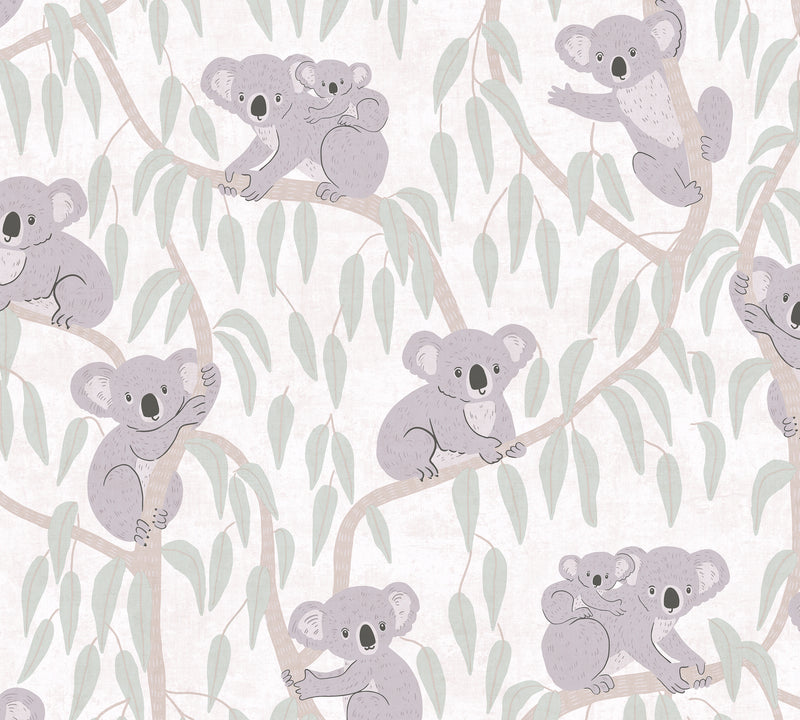 Lilly & Luis - Koala Wallpaper 771341