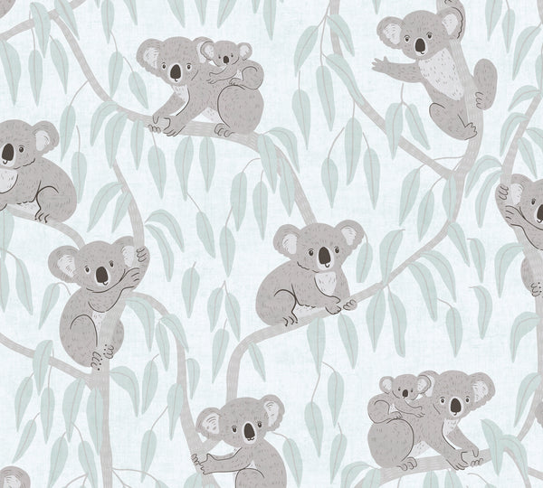 Lilly & Luis - Koala Wallpaper 771342