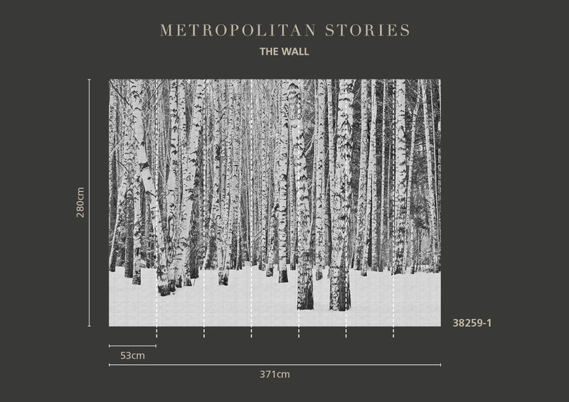 Metropolitan Stories 'The Wall' Mural 38259-1