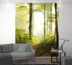 Smart Art Easy Wall Mural 47221