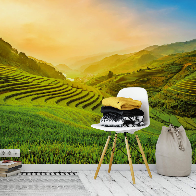 Terraced Rice Field In Vietnam - Wall Mural 5032