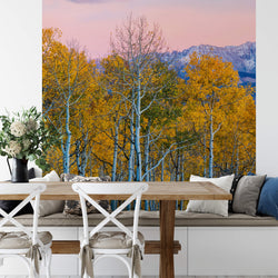 Birches and Mountains - Wall Mural 5066