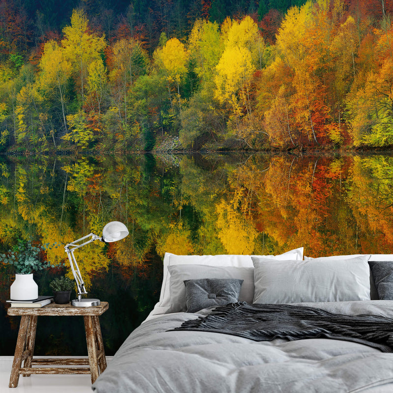 Autumn Forest Lake Wall Mural In Bedroom