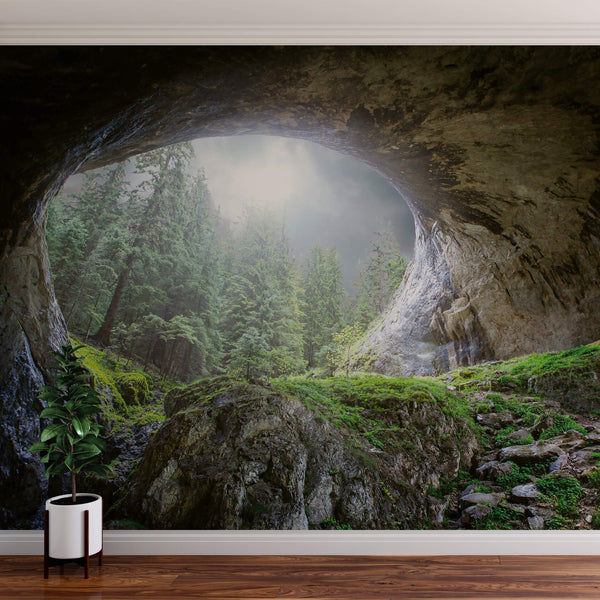 Cave In The Forest - Wall Mural 5078