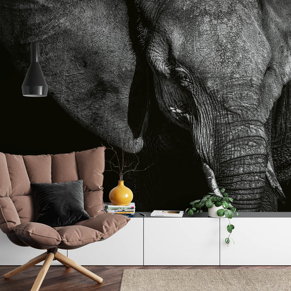 Beautiful Elephant - Wall Mural With Chair