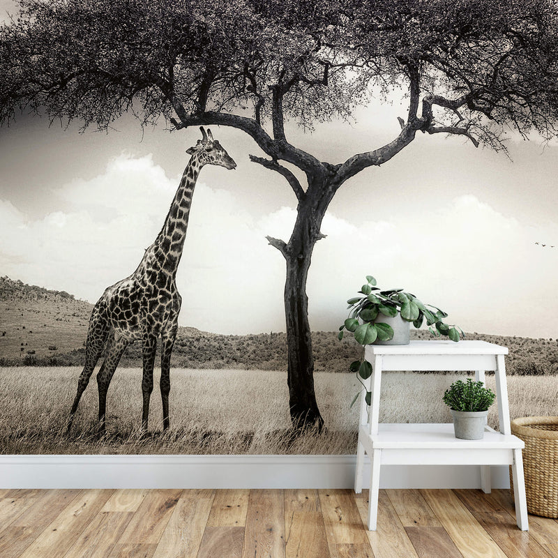 Giraffe Safari - Wall Mural 5084