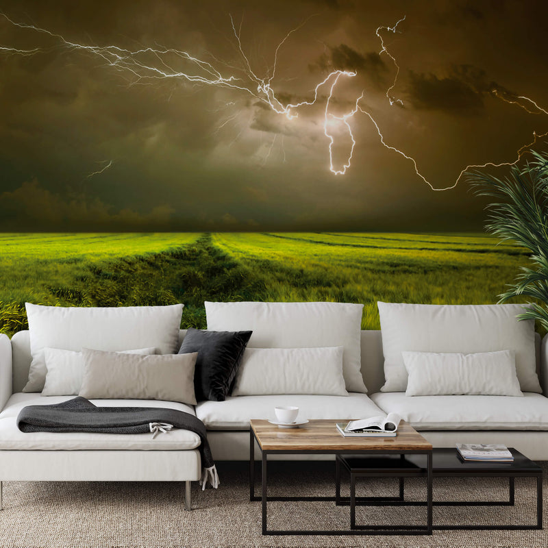 Lightning and Thunder - Wall Mural 5098