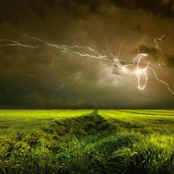 Lightning and Thunder - Wall Mural 5098