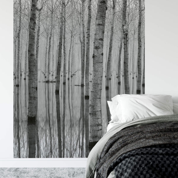 Birch Forest In The Water - Wall Mural In Bedroom