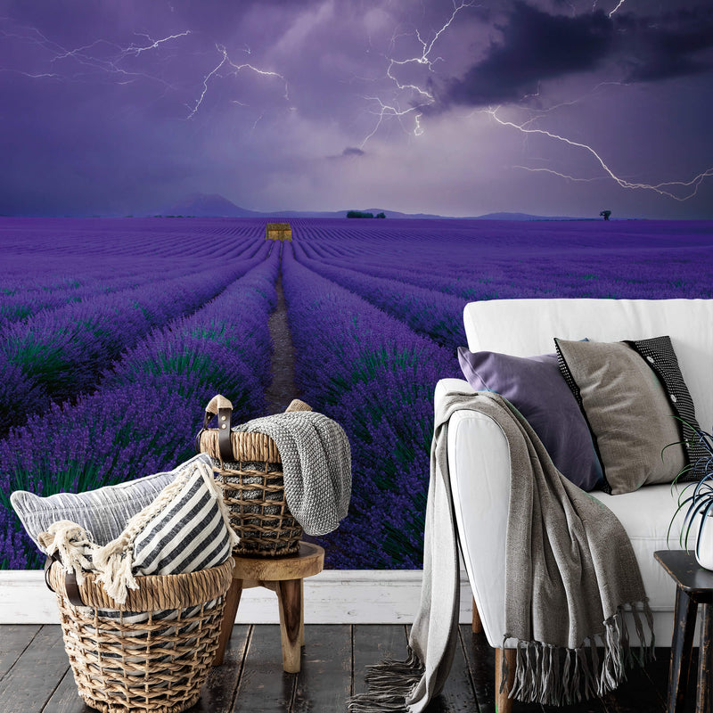 Field of Lavender - Wall Mural 5148