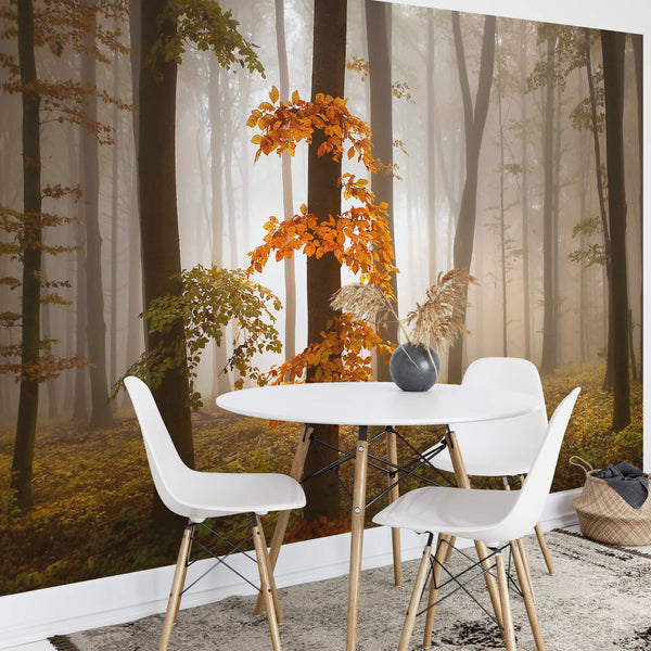 Foggy Autumn Forest - Wall Mural 5153