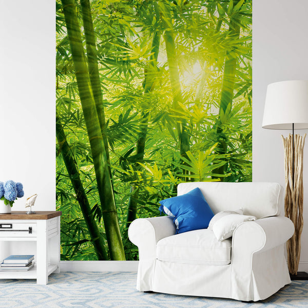 Bamboo Forest Wall Mural With Chair
