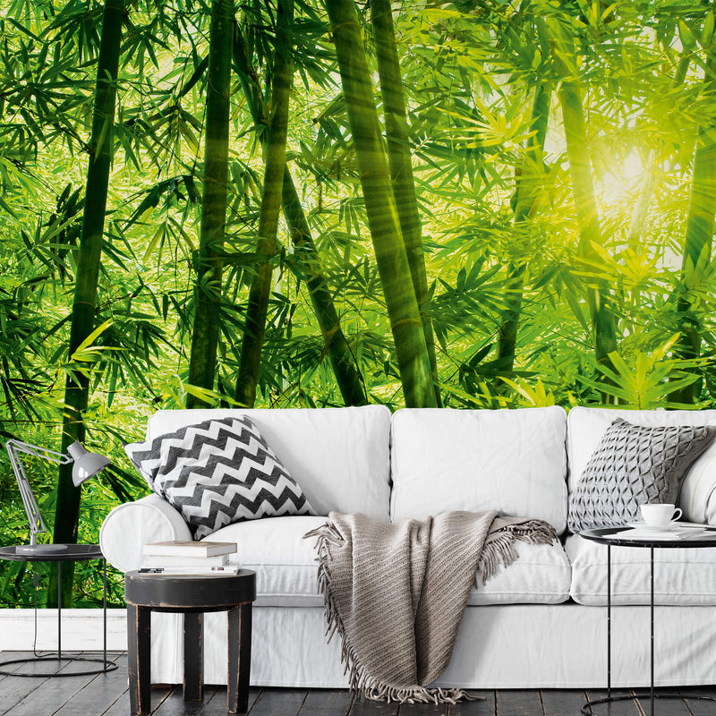 Bamboo Forest Wall Mural & Sofa