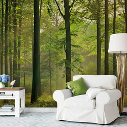 Autumn Forest Wall Mural & Seat