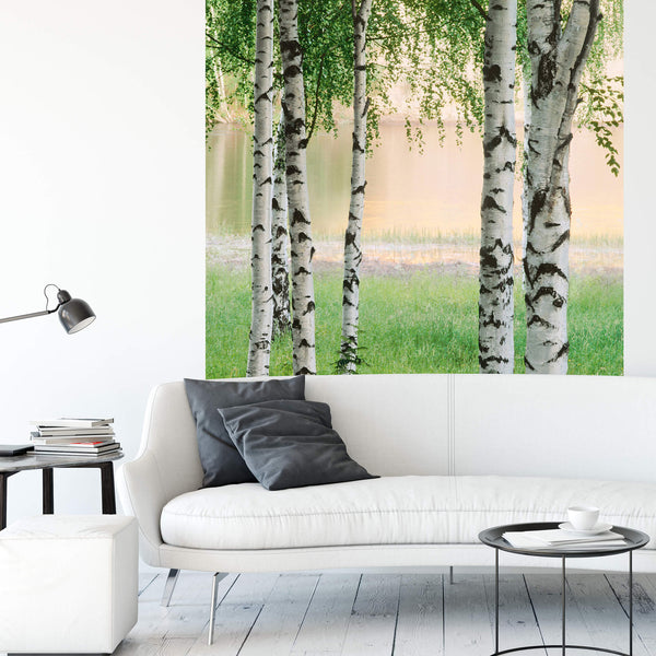 Nordic Forest - Wall Mural 5424