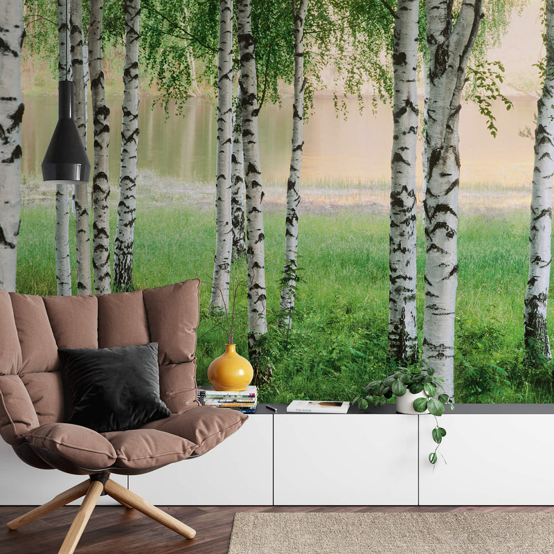 Nordic Forest - Wall Mural 5424