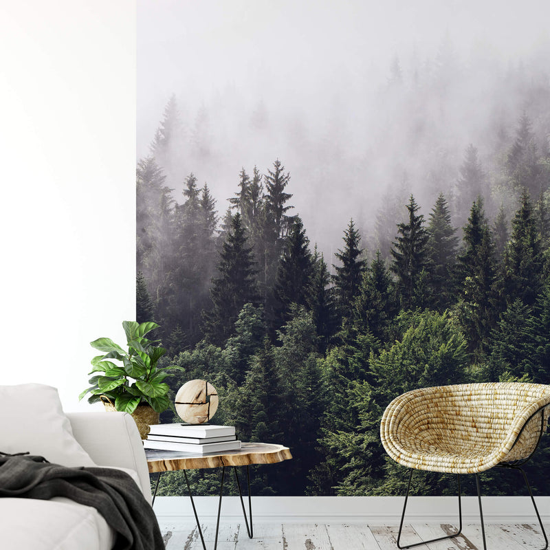 Forest Mist - Wall Mural 5433