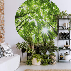 Sunny Forest - Wall Mural 5439