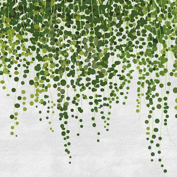 Hanging Plants - Wall Mural 5442