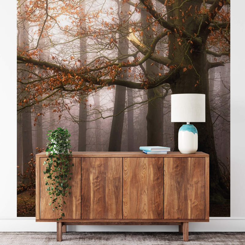 Misty Autumn Forest - Wall Mural 5450