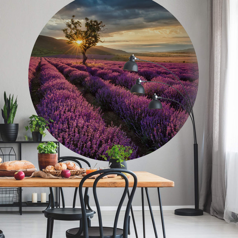 Lavender in the Provence - Wall Mural 5484