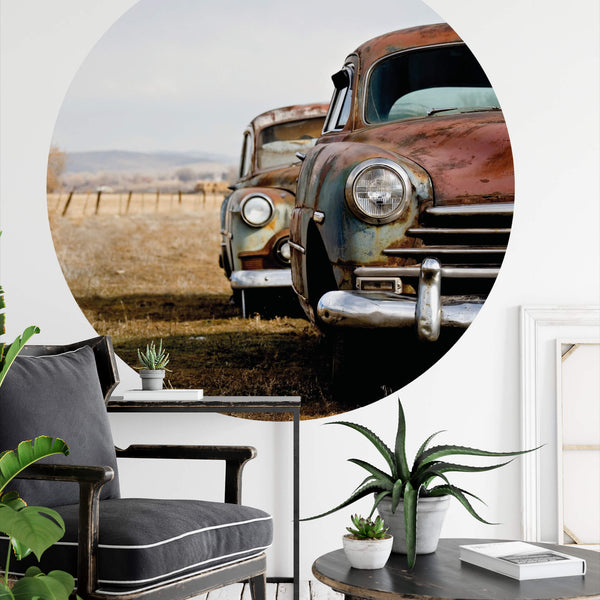 Old Rusted Cars - Wall Mural 5489