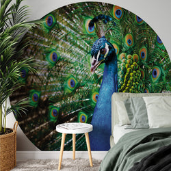 Beautiful Peacock - Wall Mural & Bed