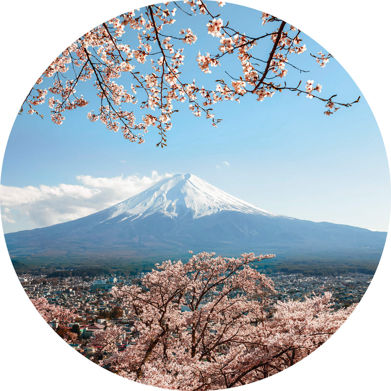 Mount Fuji in Japan - Wall Mural 5492