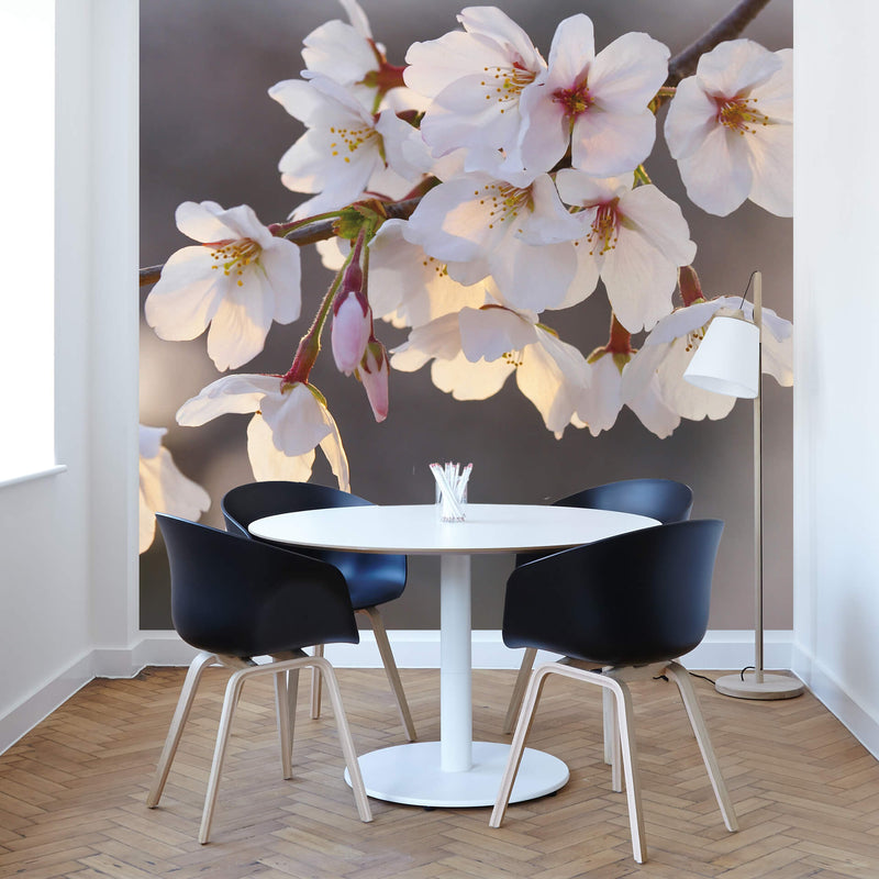 Anaglypta Wall-art Cherry Blossoms Wall Mural - 5494 | Cover Your Wall