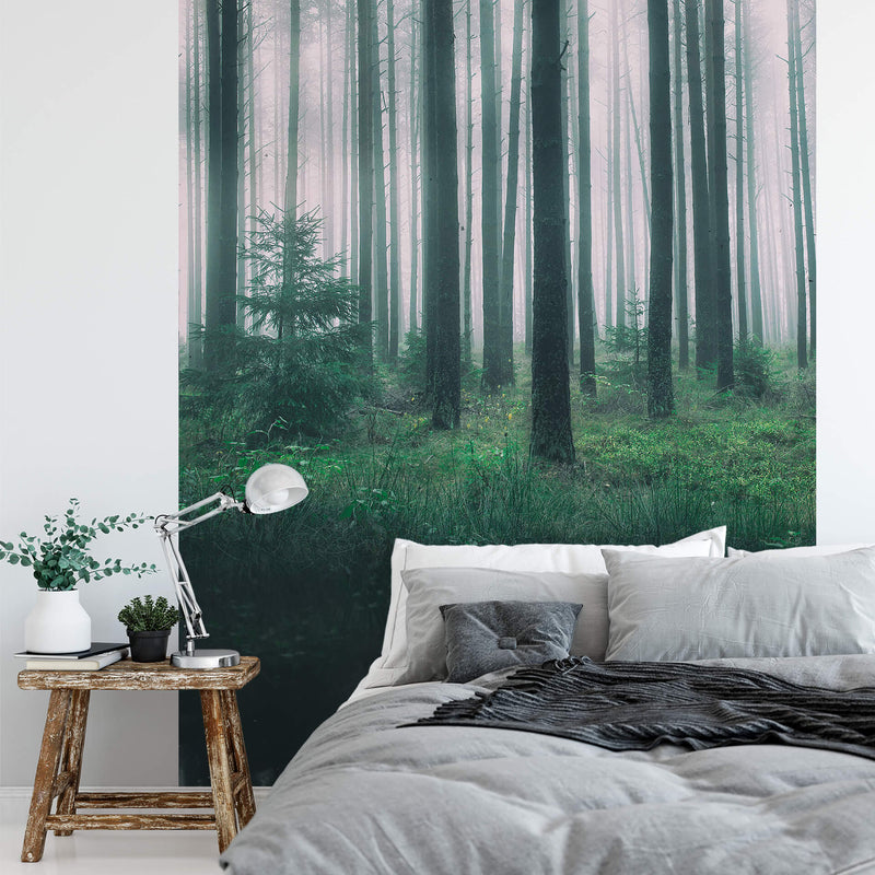 In The Woods - Wall Mural 5495