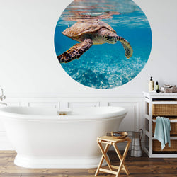 Turtle on Travel - Wall Mural 5505
