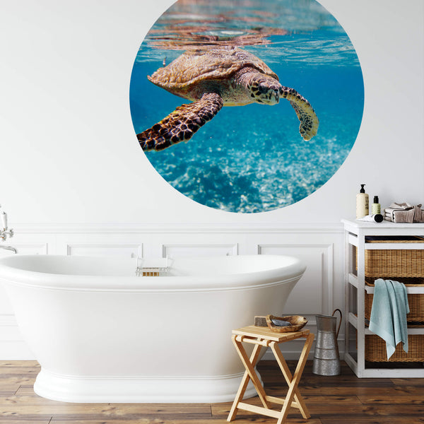 Turtle on Travel - Wall Mural 5505