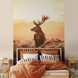 Majestic Deer - Wall Mural 5514
