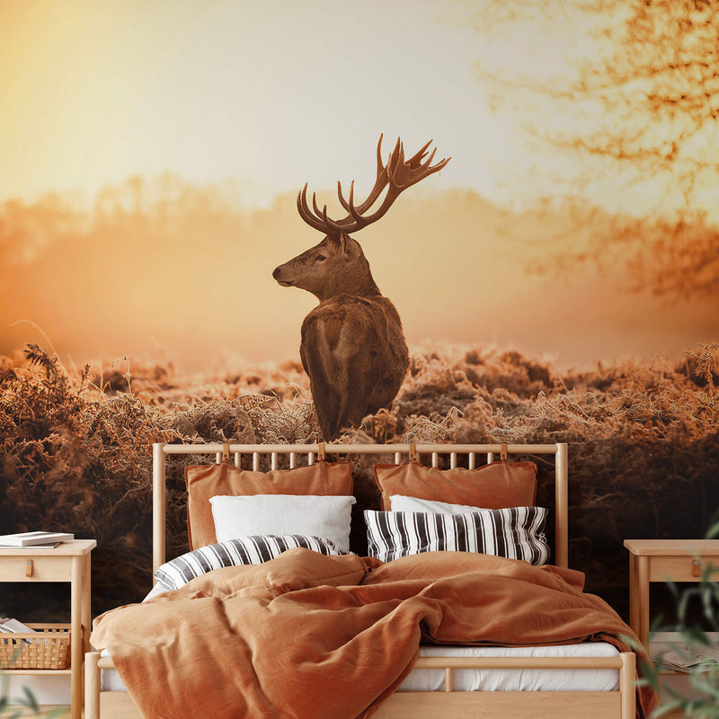 Majestic Deer - Wall Mural 5514