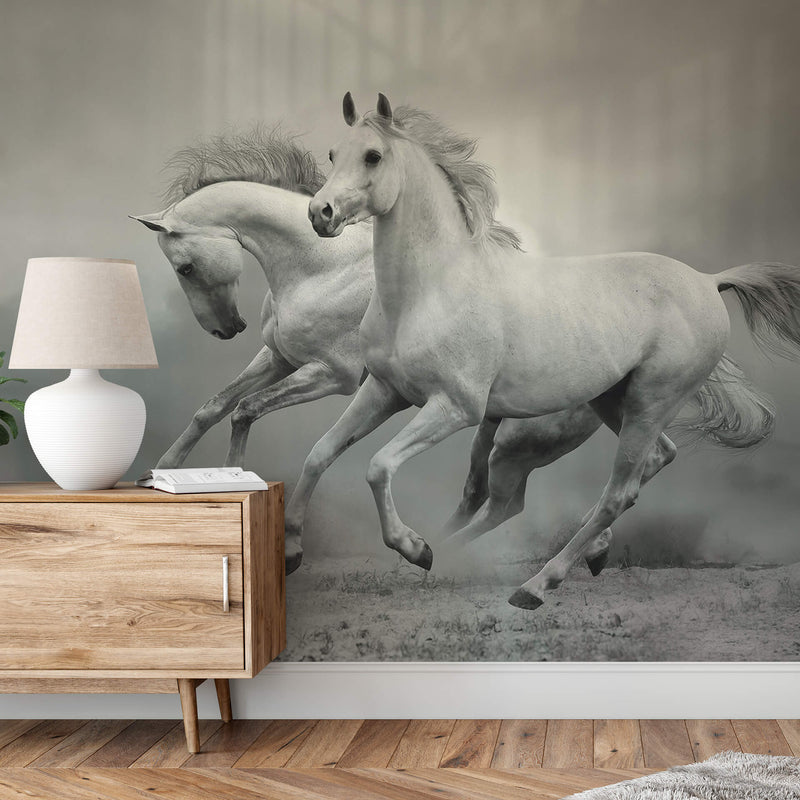 White Wild Horses - Wall Mural 5519