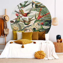 Colourful Hummingbirds - Wall Mural 5530