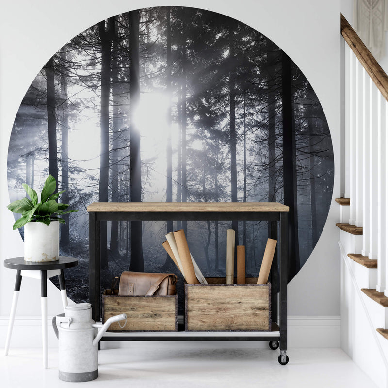 Sunshine In The Woods - Wall Mural 5533