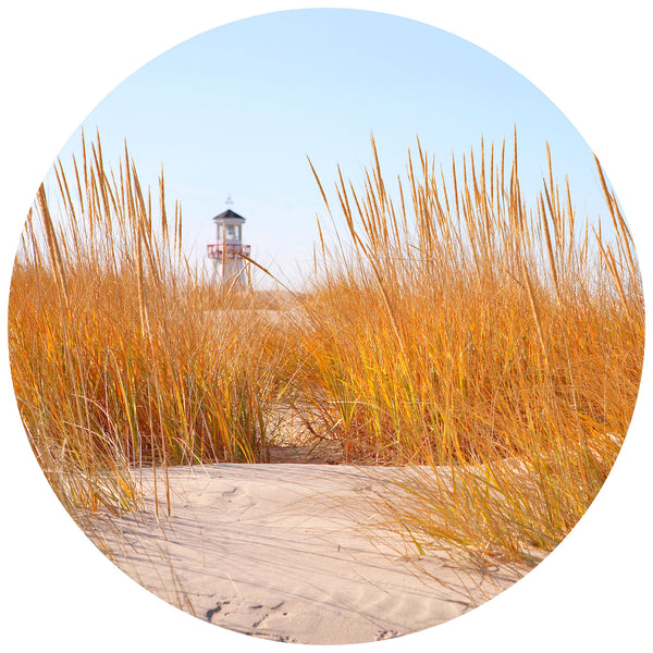 Lighthouse in The Dunes - Wall Mural 5538