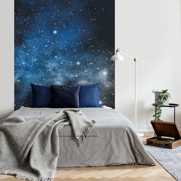 Calm Cosmos - Wall Mural 5546