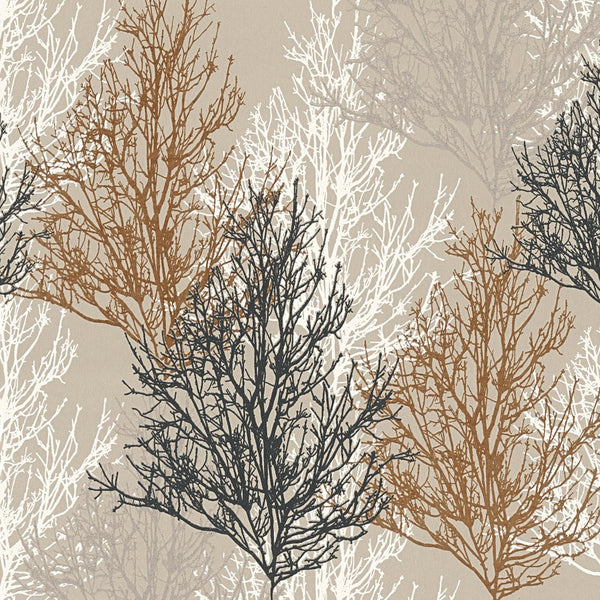 Adelaide gold Silver Tree wallpaper - 348193