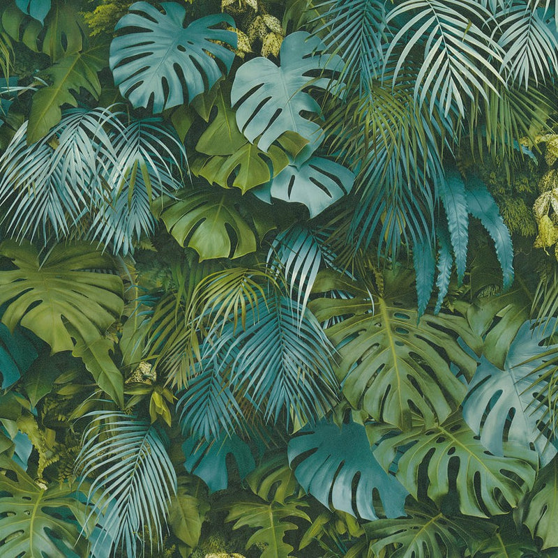 3D Tropical Rainforest Wallpapers  Top Free 3D Tropical Rainforest  Backgrounds  WallpaperAccess