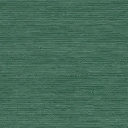 Fabric Effect Plain Texture Green